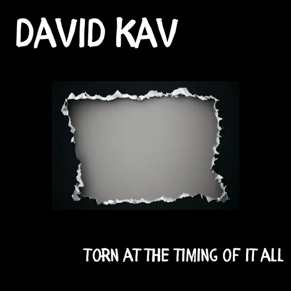 Cover art for Torn At The Timing Of It All