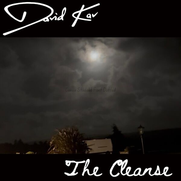Cover art for The Cleanse