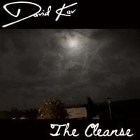 The Cleanse